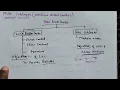 Medium Access Control Sub Layer Computer Networks sub-layer protocol
