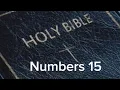 Numbers 15 NIV The Bible