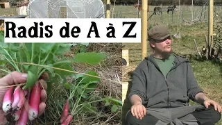 Download Le Radis de A à Z (presque) MP3