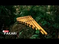 Download Lagu Pakari - Flight of the soul with Andean music💫