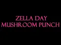 Zella Day - Mushroom Punch Instrumental