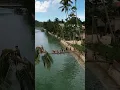 Download Lagu Epic Jump into the Loboc River in Bohol Philippines 🇵🇭 #bohol