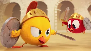 Where's Chicky? | The Gladiator | A Xilam Series | Xilam TV