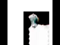 Ibuprofen