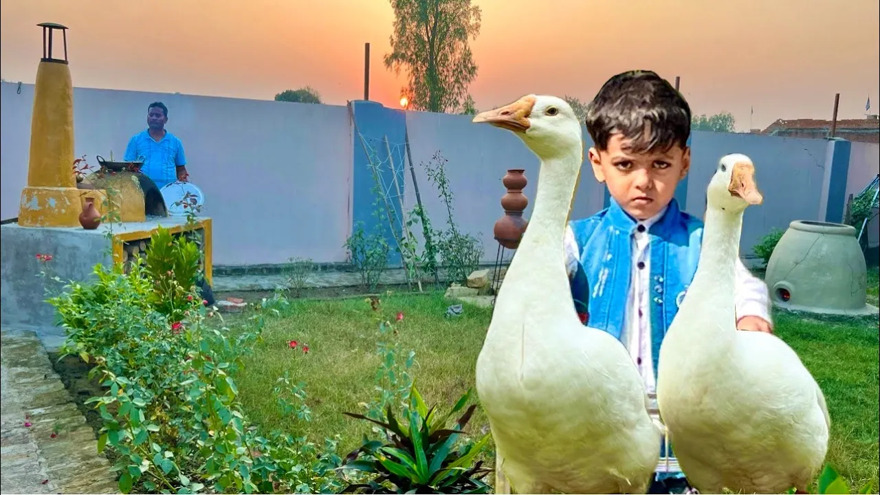 Cooking 10 kg goose curry Recipe | Duck Curry prepared  by my grandpa | cook for me