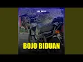 Download Lagu Bojo Biduan