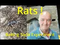 Baking Soda versus Rats