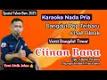 Download Lagu Karaoke Ciinan Bana - Fauzana (Nada Pria - Lagu Dangdut Pop Viral  Terbaru) HD
