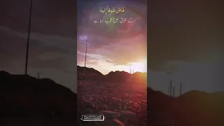 مشاري راشد العفاسي حن قلبي اليه 