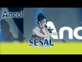 Lagu SESAL | LIA SANJAYA - NEW PALLAPA LIVE ANCOL 2026