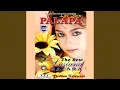 Download Lagu Bunga Bunga Cinta