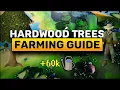 Ultimate guide to Farming Hardwood Trees in OSRS Old School RuneScape Quick Guide