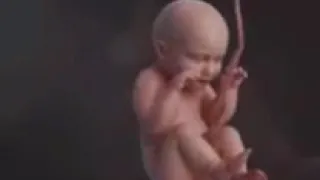 بوسه على الخد ده ياعيون ماماانت ورده الجزائرية دندنها