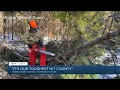 Scattered outages could run into next week for REC members
