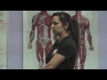 Healing Hands School of Holistic Health