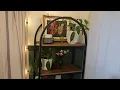 Mainstays 5-shelf Arched Metal Bookcase - quick review
