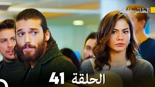 مسلسل الطائر المبكر الحلقة 41 دوبلاج عربي  مسلسل الطائر المبكر الحلقة 41 دوبلاج عربي