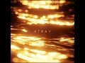 Stray - R3DN1K