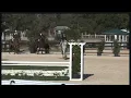 USHJA Hunt Seat First Round and Test HITS Ocala 2025