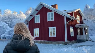 january in the countryside of sweden
