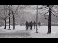 02-03-2024 Boulder CO - Heavy Wet Snow Blankets Residents and CU Students