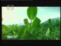 Indosiar La Menthol 21 35 (24/03)