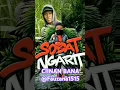 Download Lagu Ciinan Bana #ciinanbana #fauzana #reels #short  #shorts  #shortvideo  #shortsvideo #19092024 #musik