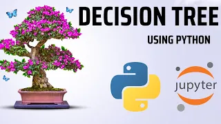 Decision Tree Algorithm Decision Tree in Python