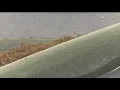Rain offers little relief from pollen in Georgia