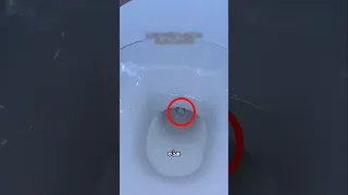 وجدت ذهبا في المرحاض 