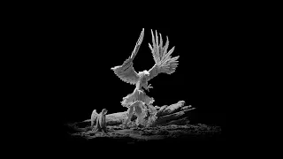                                                          زي ما اتمنيت   ابن طارق مع معاذ حامد دندنها