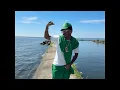 Download Lagu SUCKA FREE
