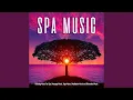 Music For Spa Wellness and Massage feat Meditation Spa