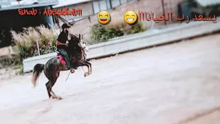 دحية هاني شوشاري بطلنا نعشق ونحب 