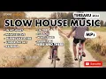 Download Lagu MP3  SLOW HOUSE MUSIC  - Terbaru 2024
