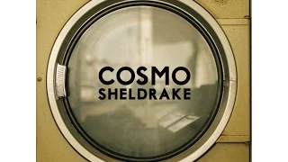 cosmo sheldrake the moss