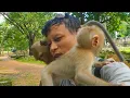 Download Lagu Freshy morning at monkey land \u0026 having fun with Mollie, Rainbow \u0026 Leo