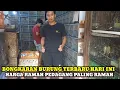 Download Lagu SERBA RAMAH!!BONGKARAN DAN CEK HARGA BURUNG DIKIOS RUDI TERBARU PASAR BURUNG PRAMUKA HARI INI