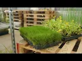 Download Lagu Diverse beplanting is een must