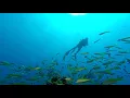 Download Lagu Scuba Diving Natal/RN - Brazil - Dive Spot Travessa Coral Reef
