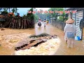 Download Lagu Cầu Khe Trang thất thủ trôi Cầu tạm bão số 5 ập tới - Cập nhập tình hình mưa lũ nơi Team sinh sống