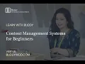 Content Management Systems for Beginners