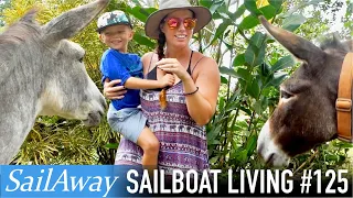 Do We Get To Have a SOCIAL LIFE? | SailAway 125 | Sailing Around The World