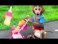 Download Lagu Monkey Baby Bon Bon feeds baby with a bottle and plays with ducklings in the pool