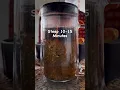 Download Lagu How To Make an Herbal Tea Infusion  #herbalinfusion #herbaltea #herbalmedicine - Rhino and Lucy