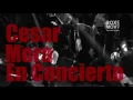 Cesar Mora  - Canela