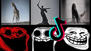 🥶 Coldest TrollFace Compilation 🥶 Troll Face Phonk Tiktoks 🥶 Coldest Moments Of All TIME #16