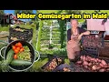 Download Lagu Vom wilden Wald zum ertragreichen Gemüsegarten
