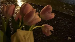 كلو بيسال شو بدك وانا دوخني الجمال بدون موسيقى 