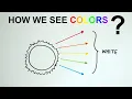 How do we see colors Reflection of Colours GCSE Physics